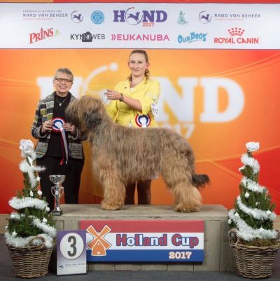 Winning CAC,CACIB & BOB and 3rd in group Holland Cup 2017