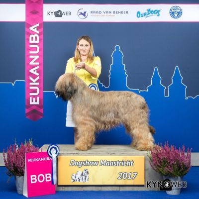 BOB Maastrict 2017