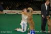Hugs