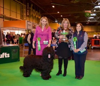 Winning BOB at Crufts 2017